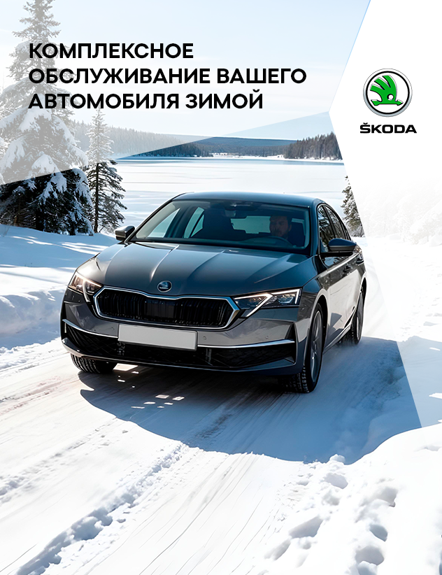 Акция на комплексное ТО Skoda за 3480р.