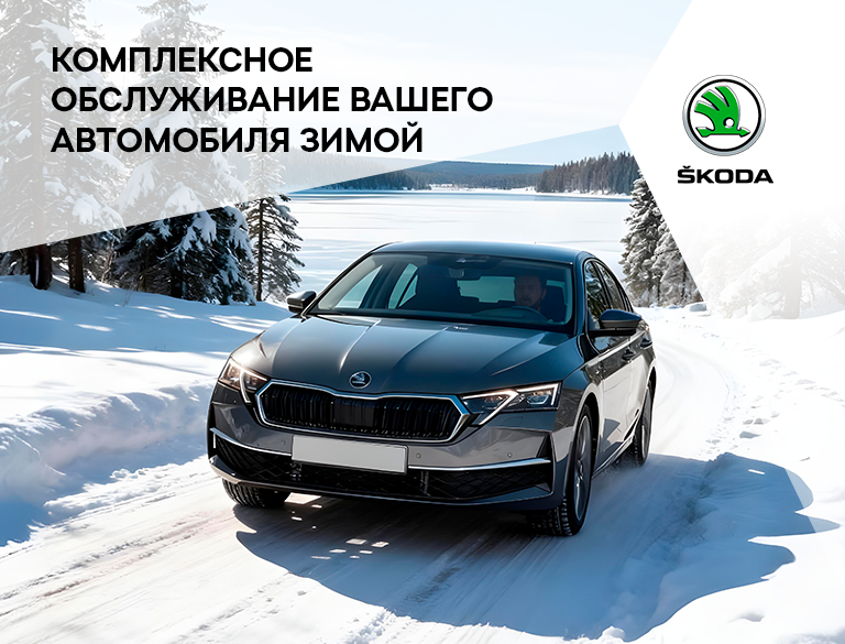Акция на комплексное ТО Skoda за 3480р.